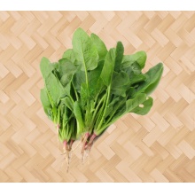 菠菜