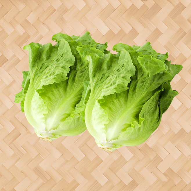 生菜