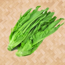 油麥菜