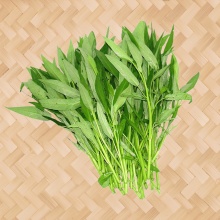 通心菜