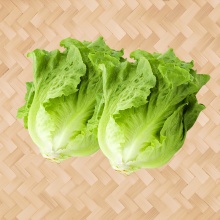 生菜