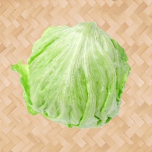 球生菜